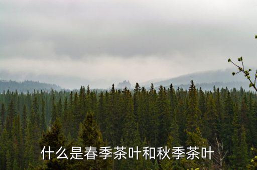 春茶是什么茶，春茶跟秋茶区别在哪里