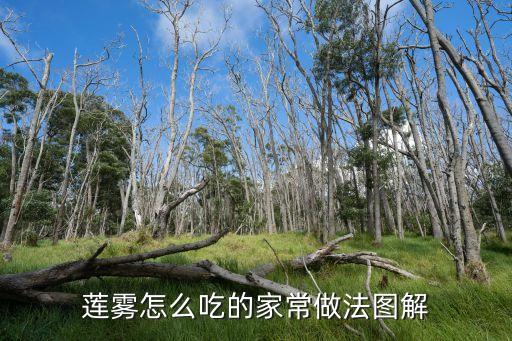 莲雾怎么吃图解法，莲雾吃法都有哪些