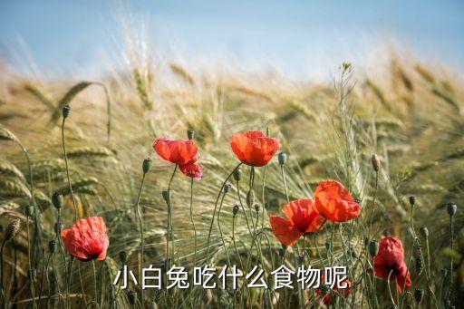 小白兔吃什么食物呢