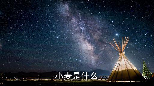 小麦是什么粮食，小麦是什么