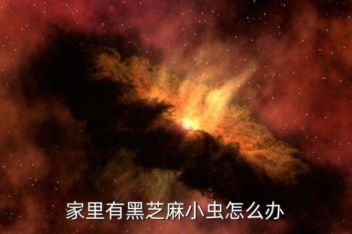 家里有黑芝麻小虫怎么办