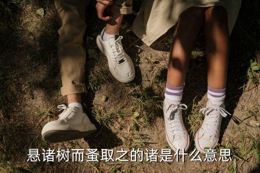 悬诸树而蚤取之的诸是什么意思