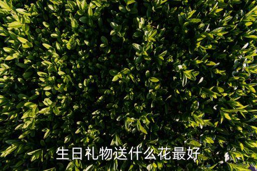 生日礼物送什么花最好