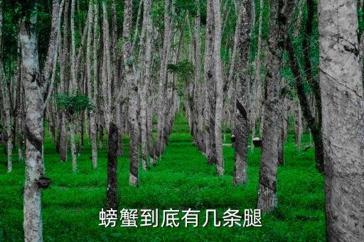 螃蟹到底有几条腿