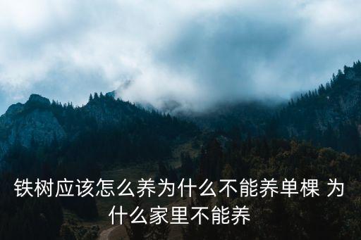 为什么家里不能养铁树，铁树适宜室内养吗