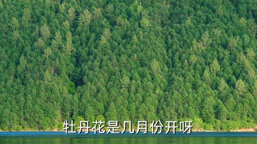 牡丹花期，牡丹几月开花