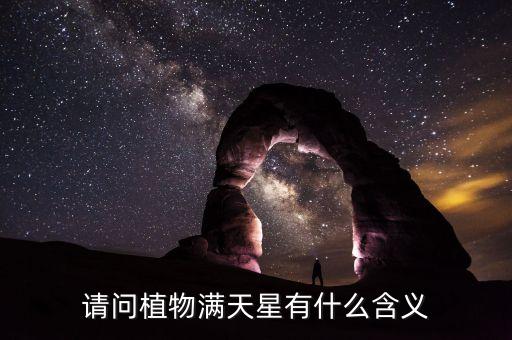 请问植物满天星有什么含义