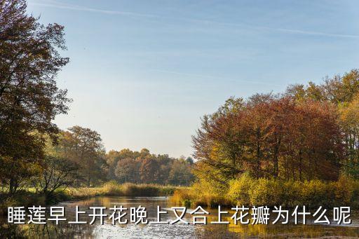 睡莲早上开花晚上又合上花瓣为什么呢