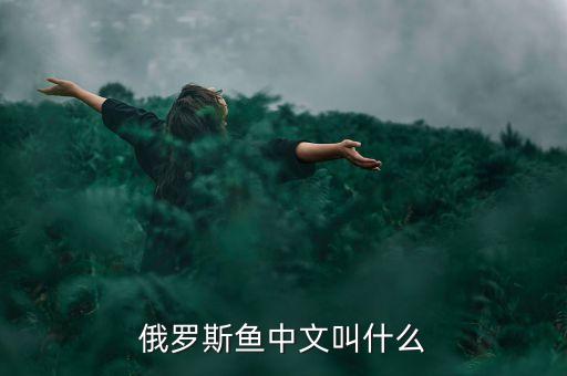 俄罗斯鱼中文叫什么
