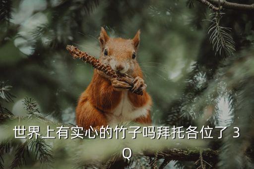 世界上有实心的竹子吗拜托各位了 3Q