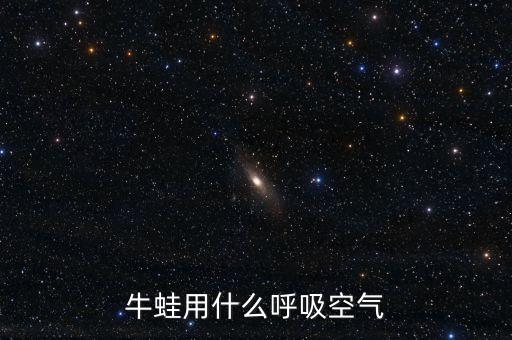 牛蛙用什么呼吸空气