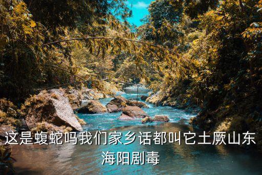 这是蝮蛇吗我们家乡话都叫它土厥山东海阳剧毒