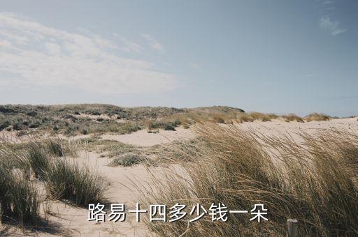 路易十四多少钱一朵