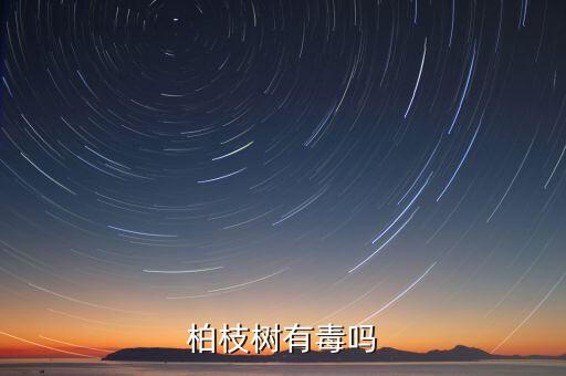 柏枝树有毒吗