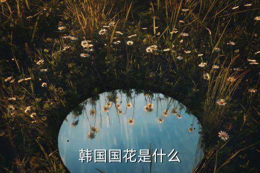 韩国国花是什么