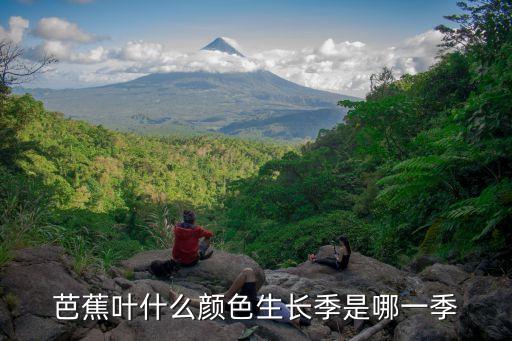 芭蕉叶，芭蕉叶什么颜色生长季是哪一季