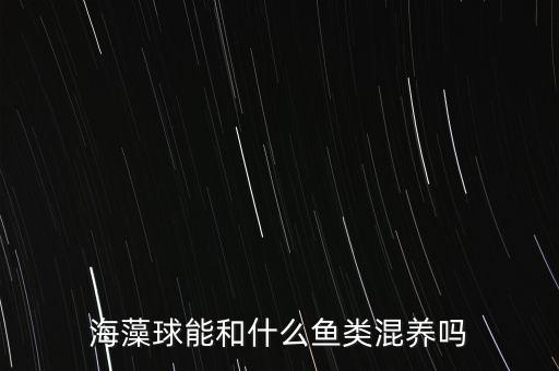 海藻球，海藻球怎么制作
