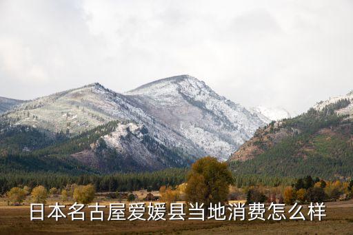 日本名古屋爱媛县当地消费怎么样
