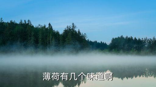 薄荷有几个味道啊