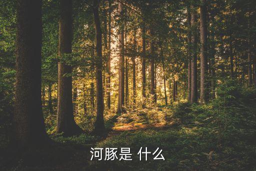 河豚是 什么