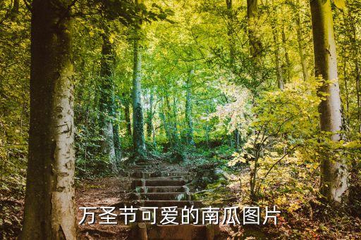万圣节可爱的南瓜图片