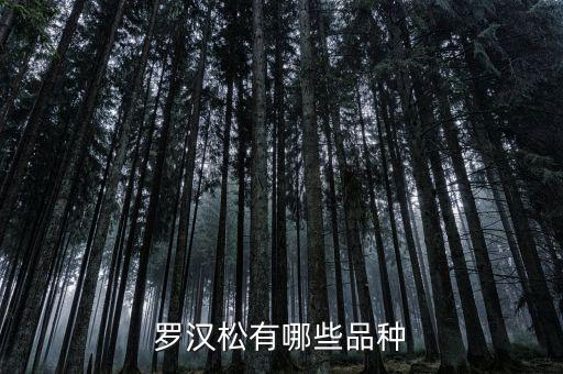 短叶罗汉松，罗汉松树的种类有哪些有什么区别