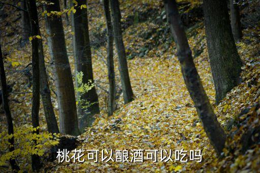 桃花可以酿酒可以吃吗