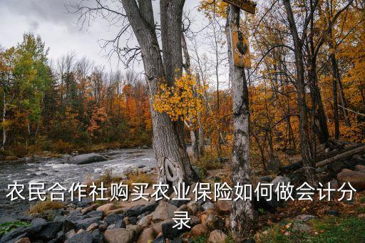大户买农业保险怎么核实，农民合作社购买农业保险如何做会计分录