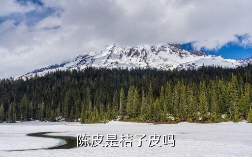 陈皮是桔子皮吗