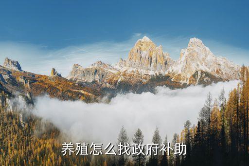养殖怎么找政府补助
