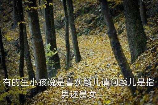 喜获麟儿，明星没文化太尴尬孙俪不懂麟儿啥意思