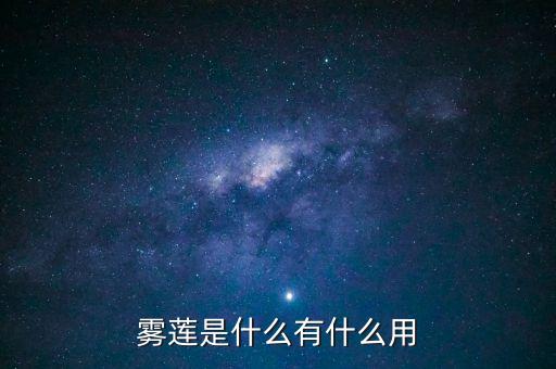 雾莲果，雾莲是什么有什么用