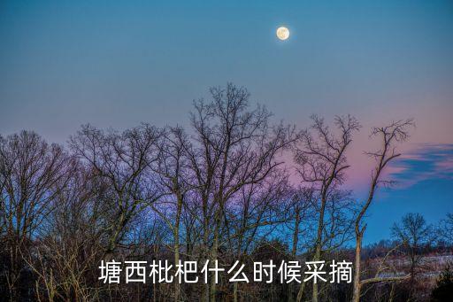 塘栖枇杷什么时候上市，塘西枇杷什么时候采摘