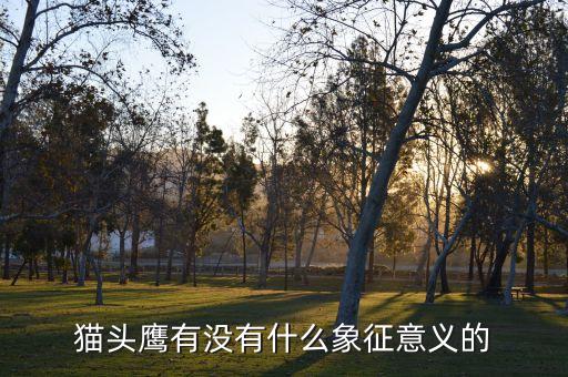 猫头鹰有没有什么象征意义的