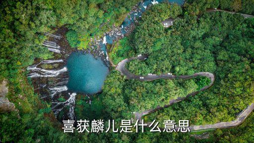 喜获麟儿是什么意思