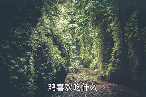 鸡喜欢吃什么，鸡喜欢吃什么