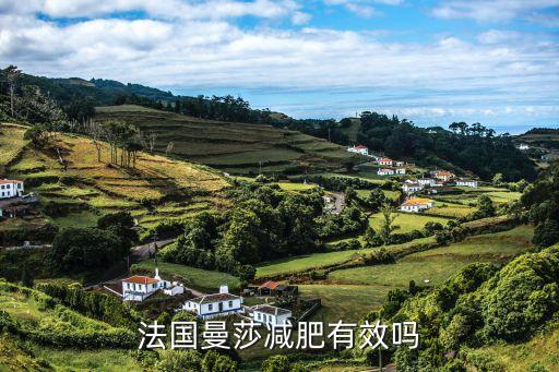 曼莎，曼莎法文是什么