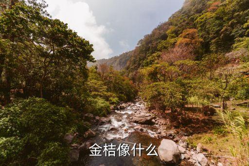 金桔像什么