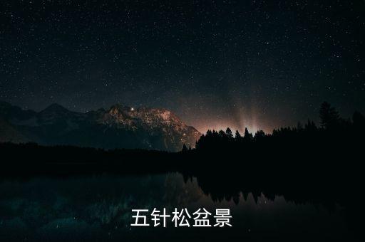 五针松盆景