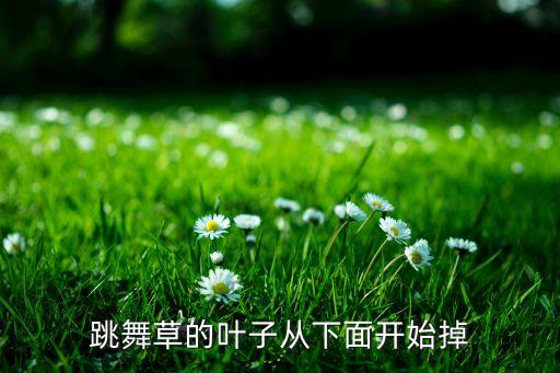 跳舞草跳舞视频，跳舞草真的会跳舞吗