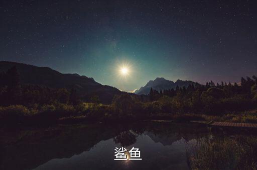 鲨鱼简介，什么是鲨鱼