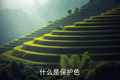什么是保护色