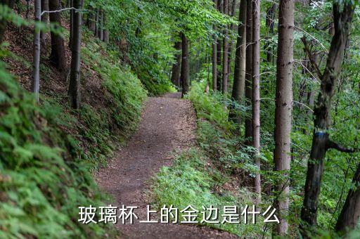 玻璃杯上的金边是什么