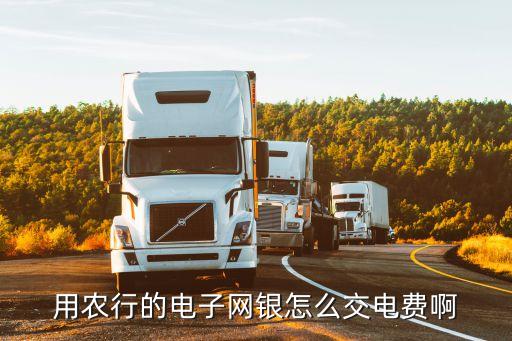 农业用电卡怎么缴费，农业银行电子支付卡怎末交电费