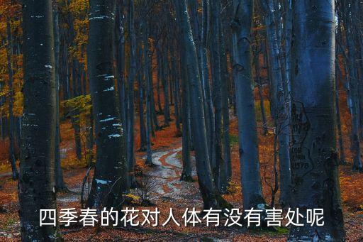 四季春的花对人体有没有害处呢