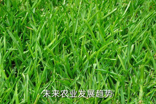 未来农业发展趋势