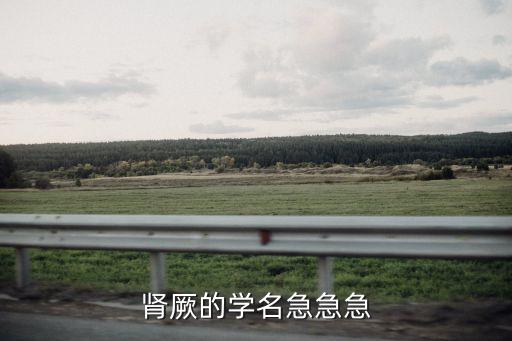 肾厥的学名急急急