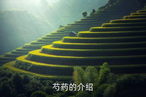 芍药是药材吗，芍药是干什么的