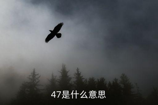 47是什么意思，47是什么意思