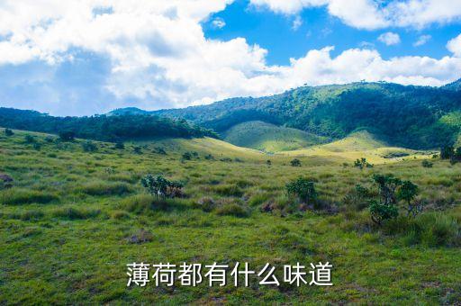 薄荷都有什么味道